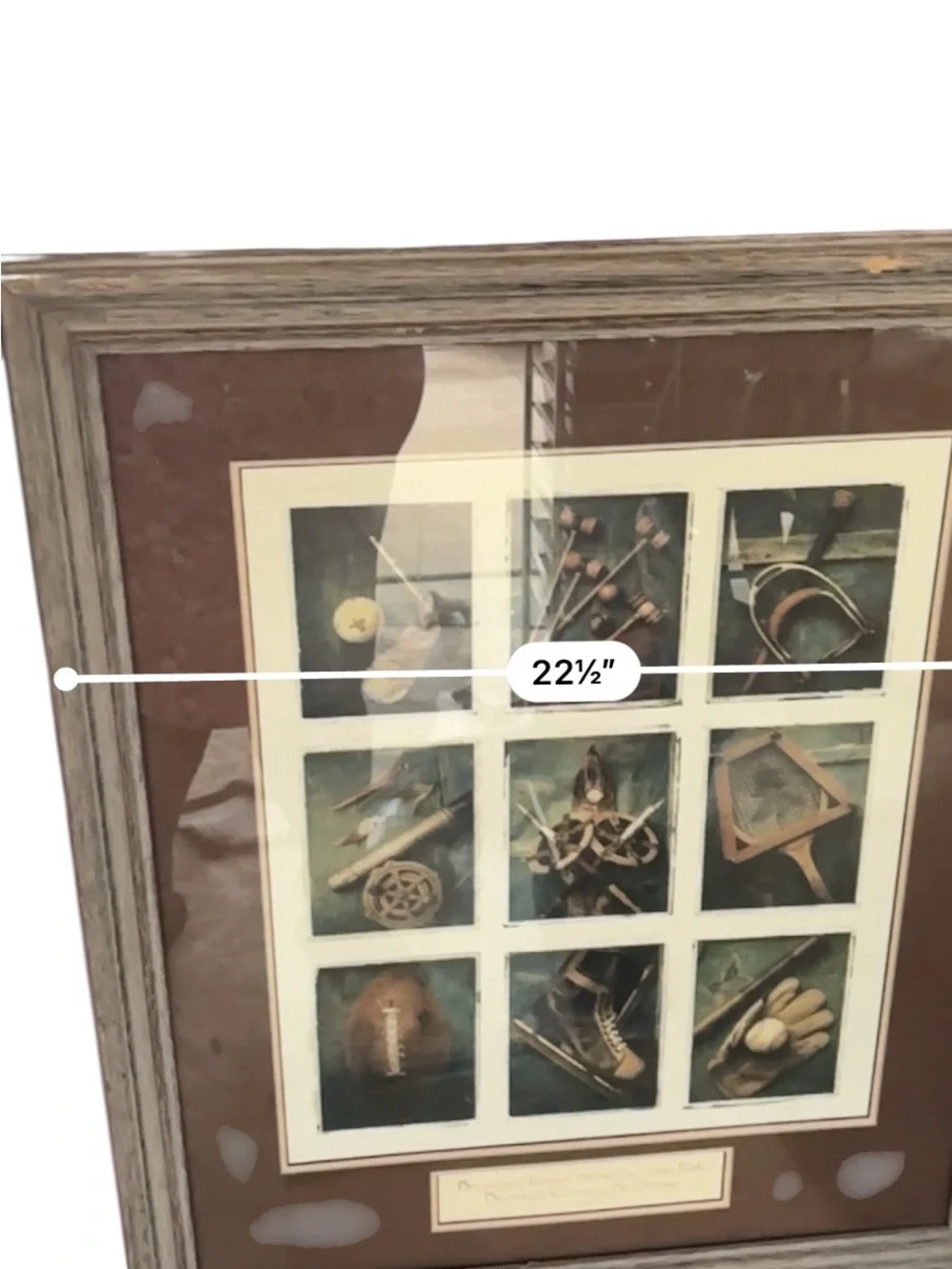 Hobby Lobby Black and Cream Botanical Framed Art